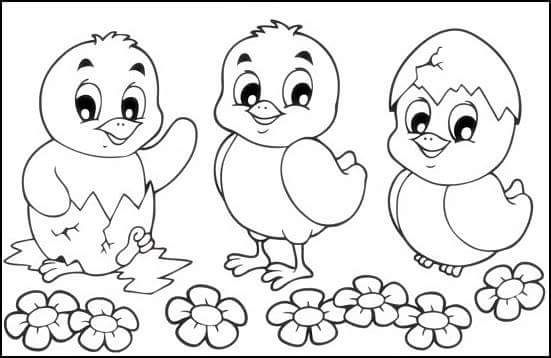 Chick