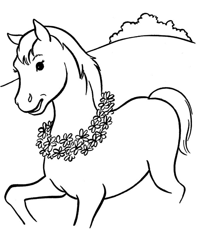 Horse