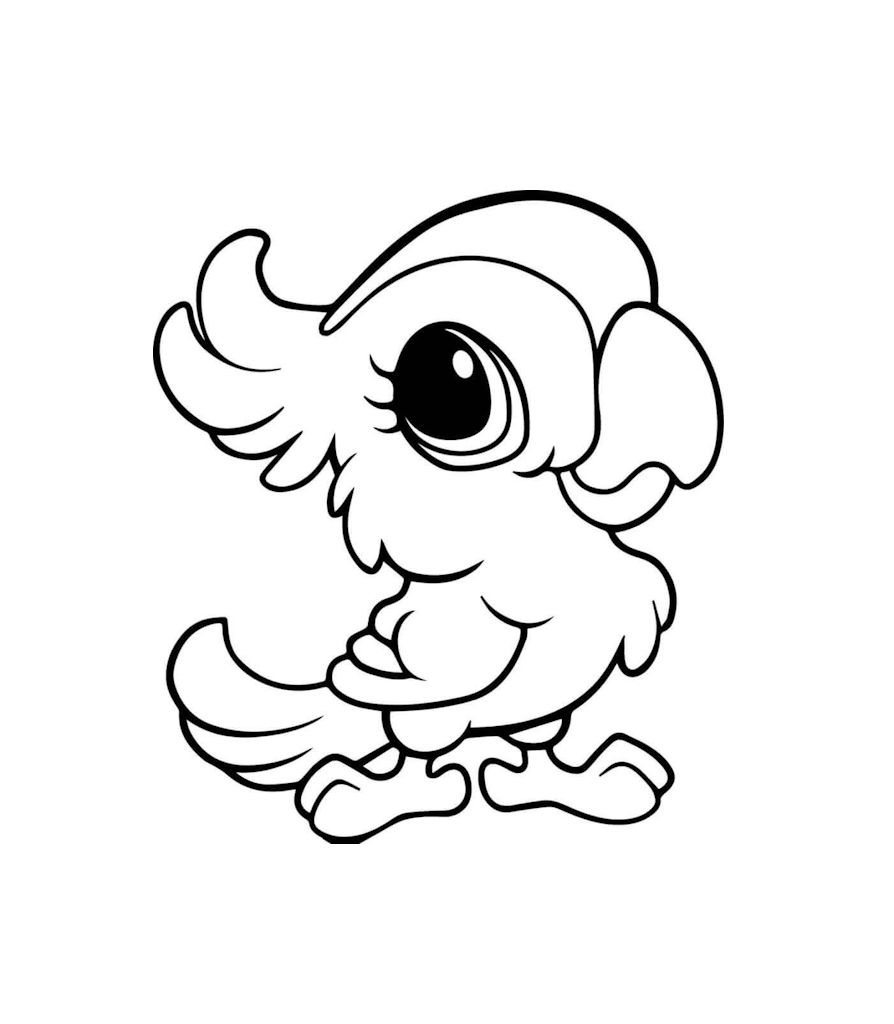 Parrot