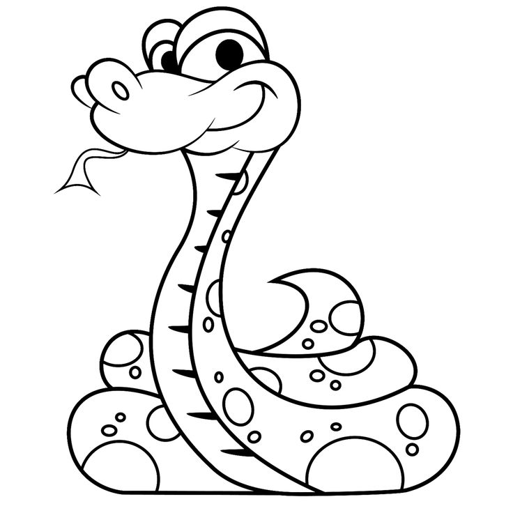 Snake
