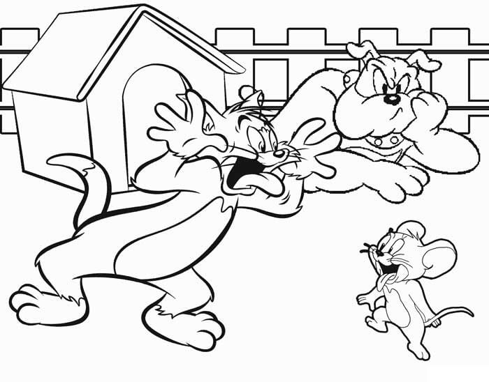 Tom and Jerry